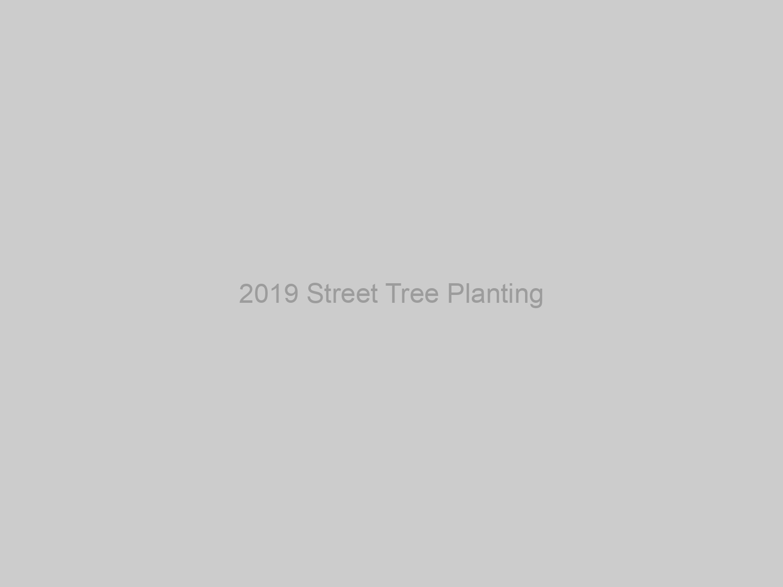 2019 Street Tree Planting